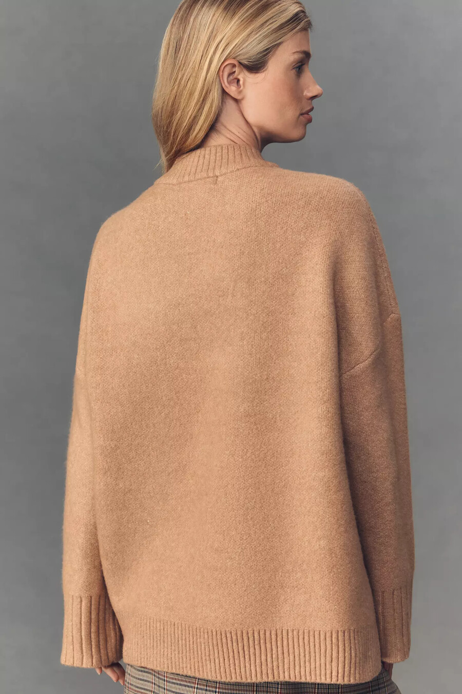 corey lynn calter horse icon jumper