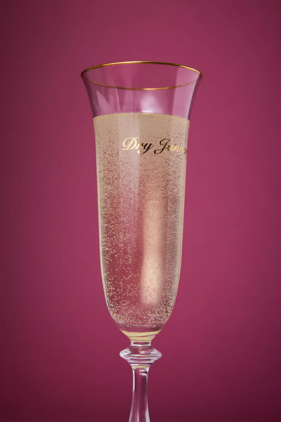 anna nina dry january champagne flute