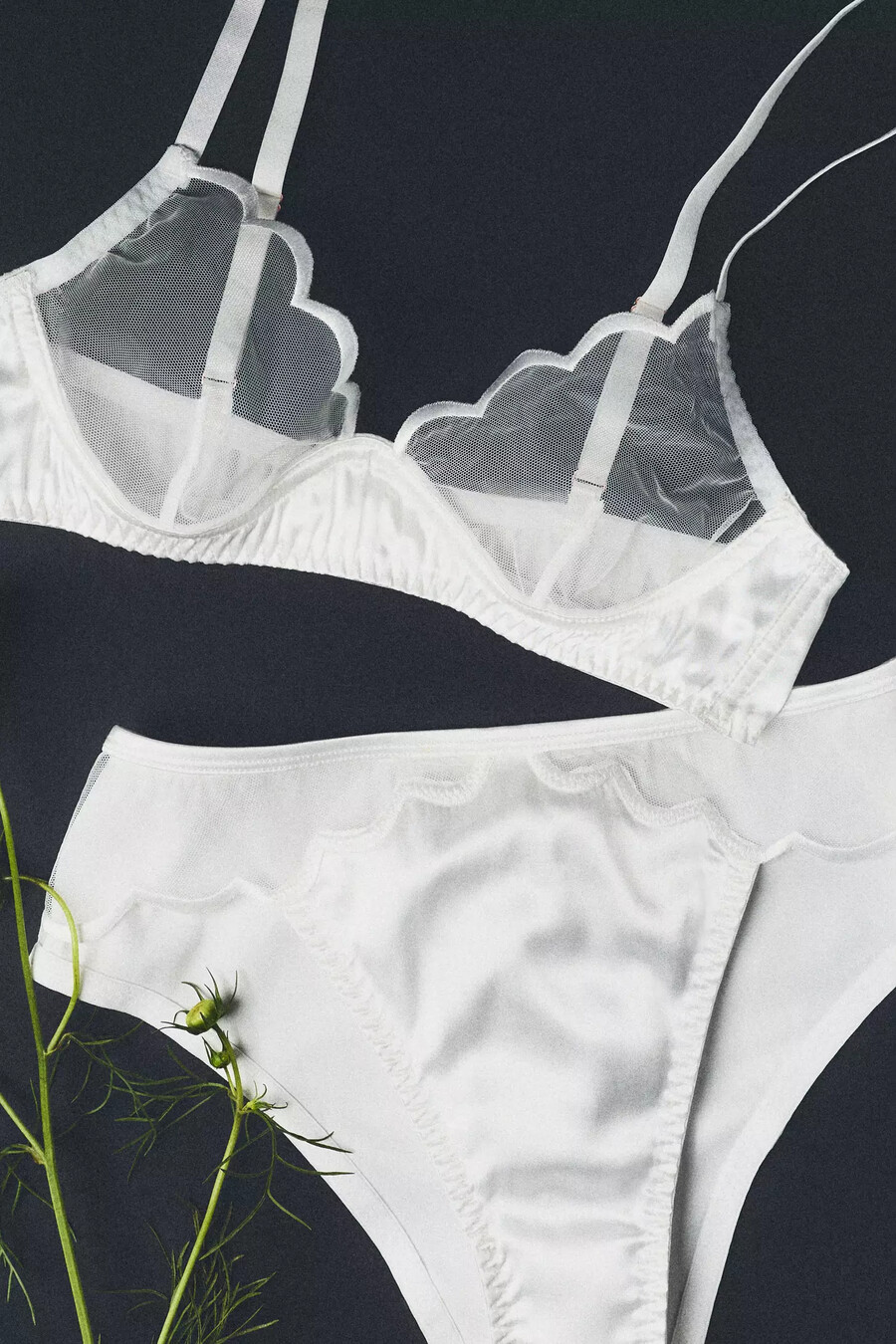 lyrebird scalloped sheer satin bra